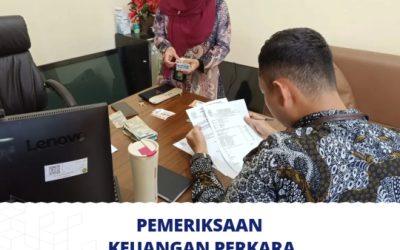 Pemeriksaan Keuangan Perkara